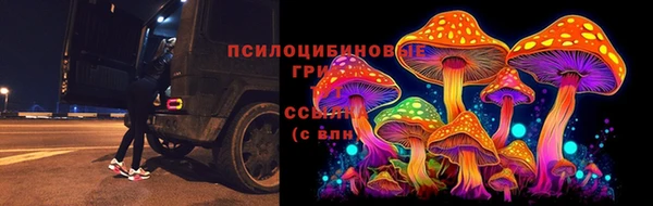 PSILOCYBIN Белоозёрский