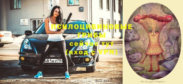 ALPHA PVP Белокуриха