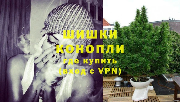 PSILOCYBIN Белоозёрский