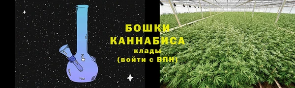 ALPHA PVP Белокуриха