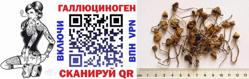 Галлюциногенные грибы Cubensis  дарнет шоп  Боровск 