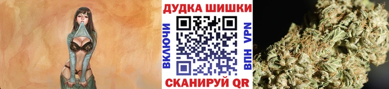 Бошки марихуана сатива цены наркотик blacksprut ссылка Боровск